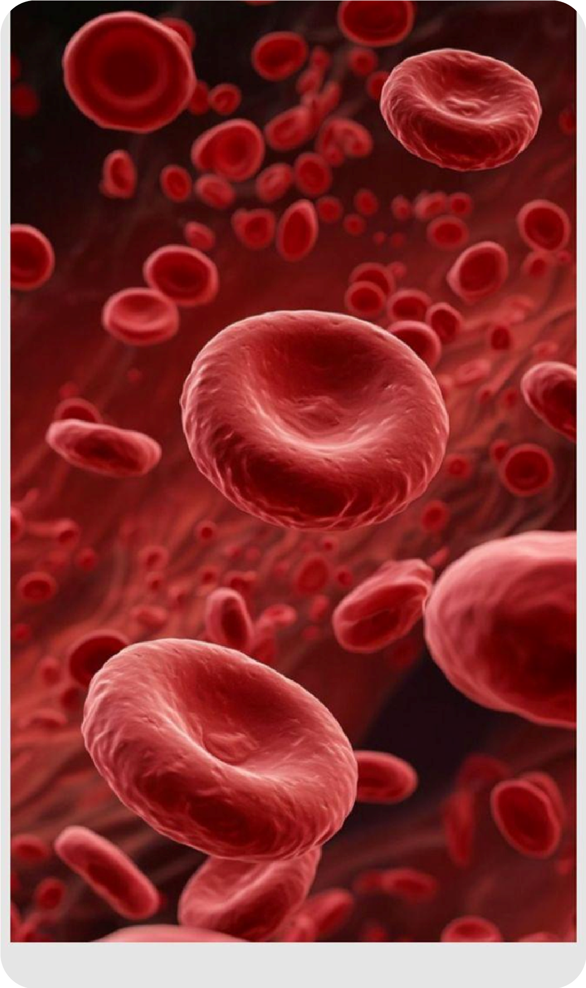 Magistral para la Anemia